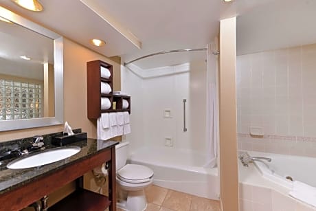 1 King Studio Suite With Whirlpool Nonsmoking