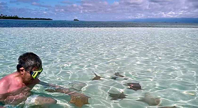Discovery Gunayar