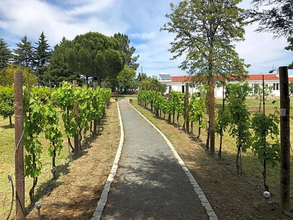 Horta da Rosa - Adults Only