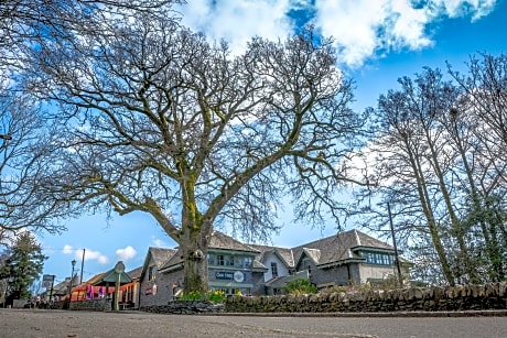 Oak Tree Inn