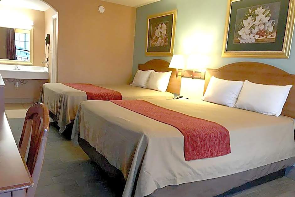 Sky Palace Inn By OYO Anthony KS