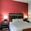 Hampton Inn By Hilton And Suites Detroit/Airport-Romulus