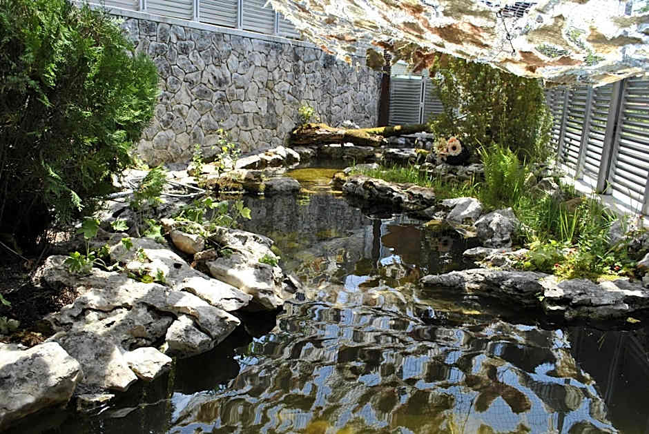 Discret Hotel & Restaurant