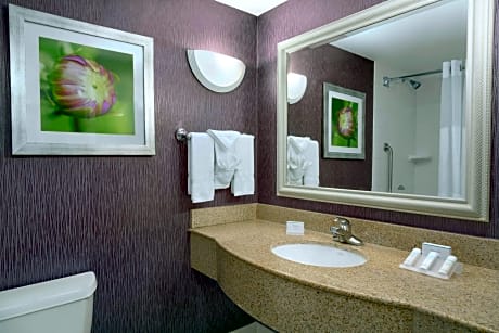 1 King Mobility/Hearing Accessible Ri Shwr