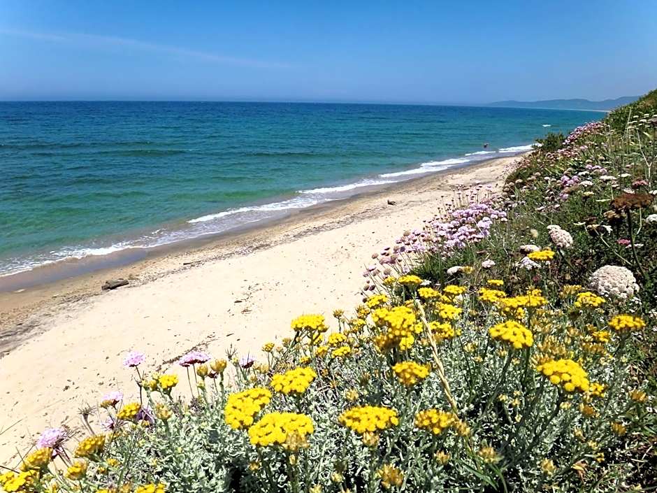 Hotel La Tartaruga Bianca