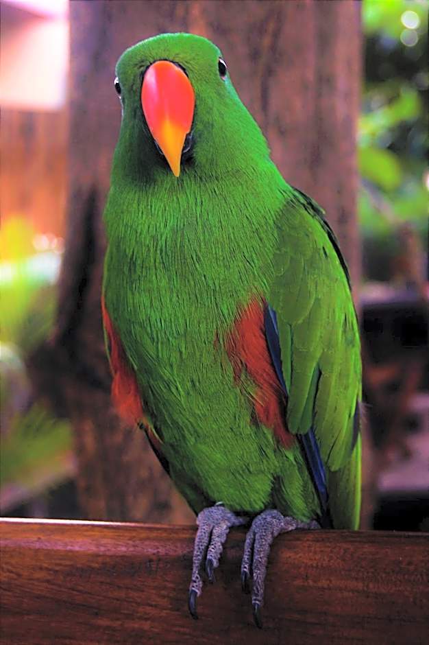 Lutwala Bungalows and Private Villa