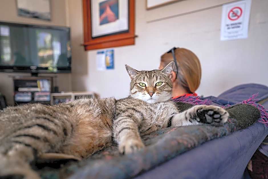 Mountain View Backpackers