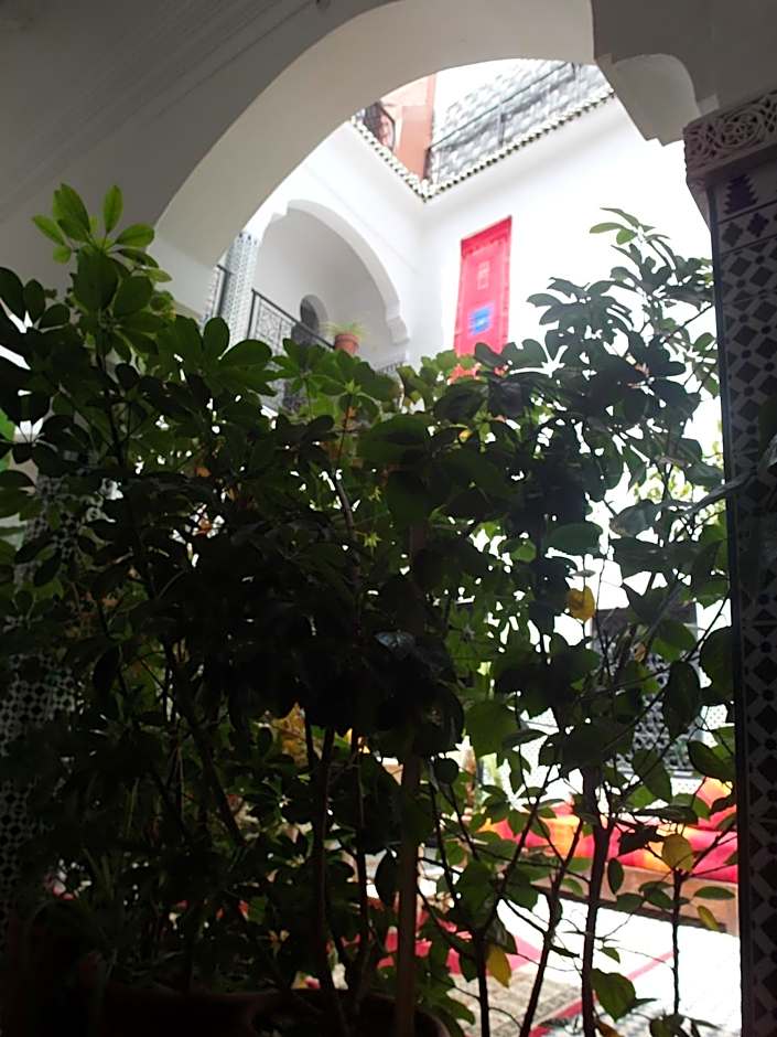 Riad Sijane
