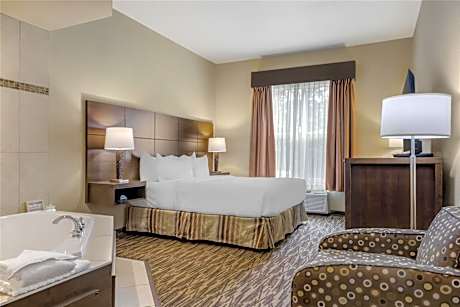 1 King Bed Non-Smoking Whirlpool Refrigerator Wi-Fi Full Breakfast