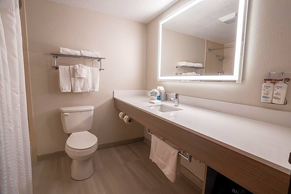 Holiday Inn Express Hotel & Suites Orange City By IHG