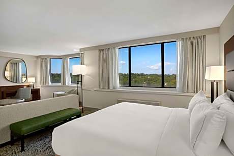 Junior King Suite with Sofa Bed