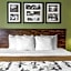 Sleep Inn & Suites Mount Olive