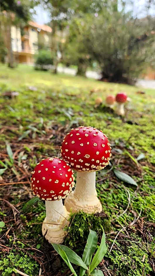 Filadélfia Hospedagens e Eventos