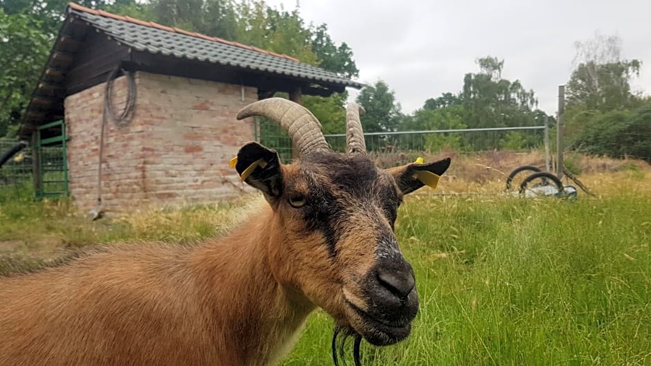 Zimmervermietung Zahn