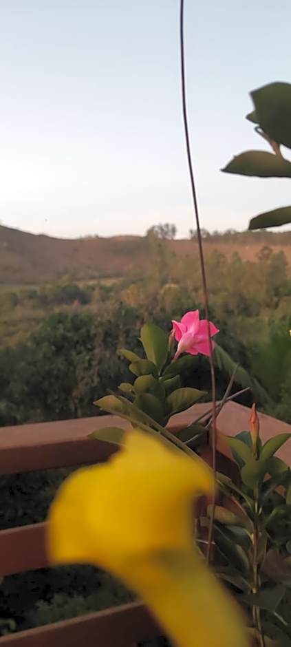 Pousada Pato Mergulhão