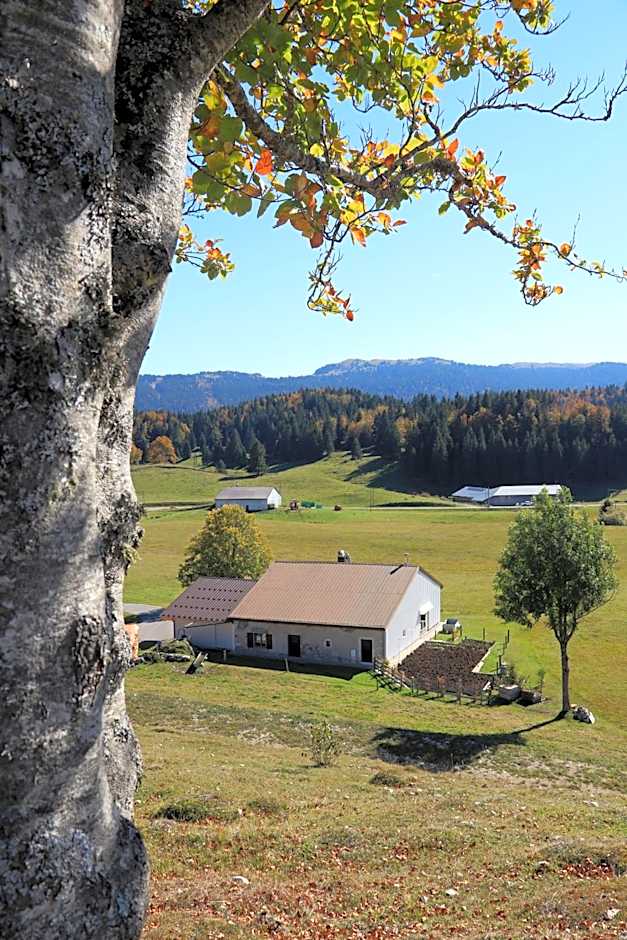 Au Coeur du Lapidaire