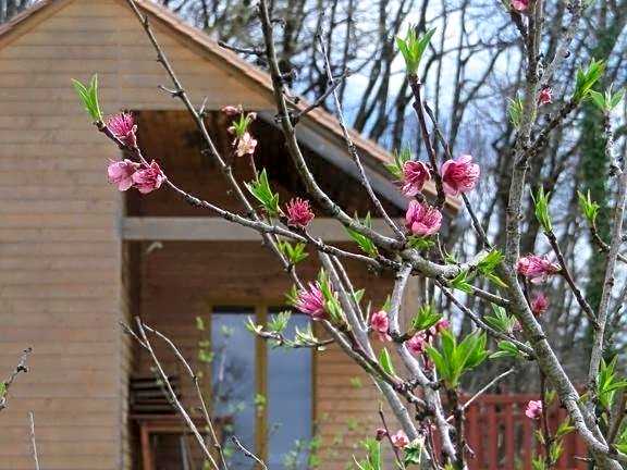 Le Village Enchanteur