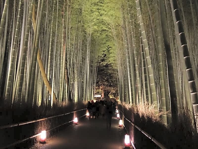 Hotel Livemax Kyoto Ekimae
