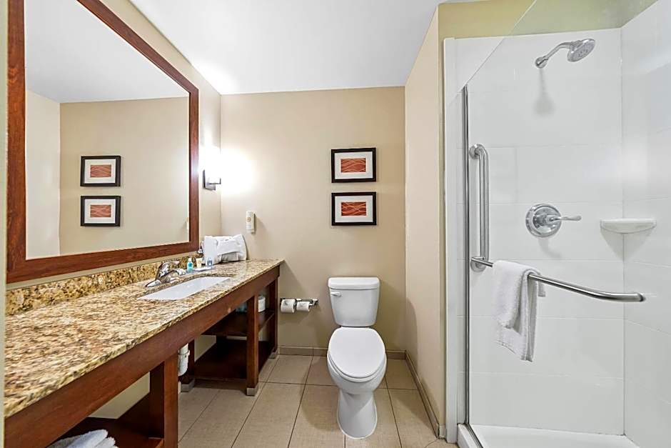 Comfort Inn & Suites West - Medical Center