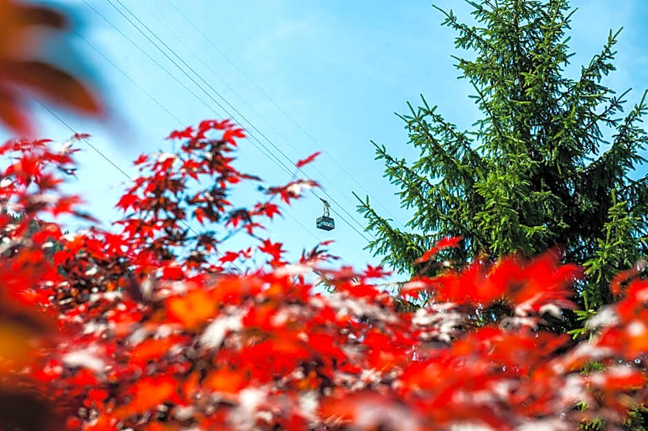 Villaggio Turistico Camping Cervino