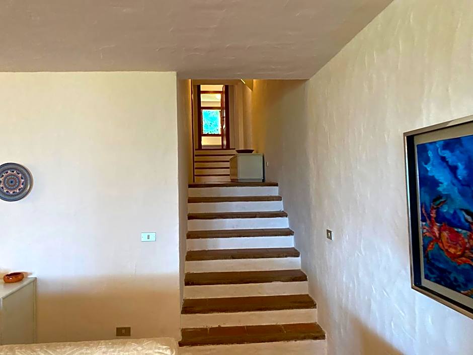 Domus Olivarum - Costa Smeralda 6 guest, 3 room, 2 bathroom, 2 parking Wifi