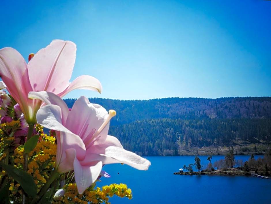 Wochner's Hotel-Sternen Am Schluchsee Hochschwarzwald