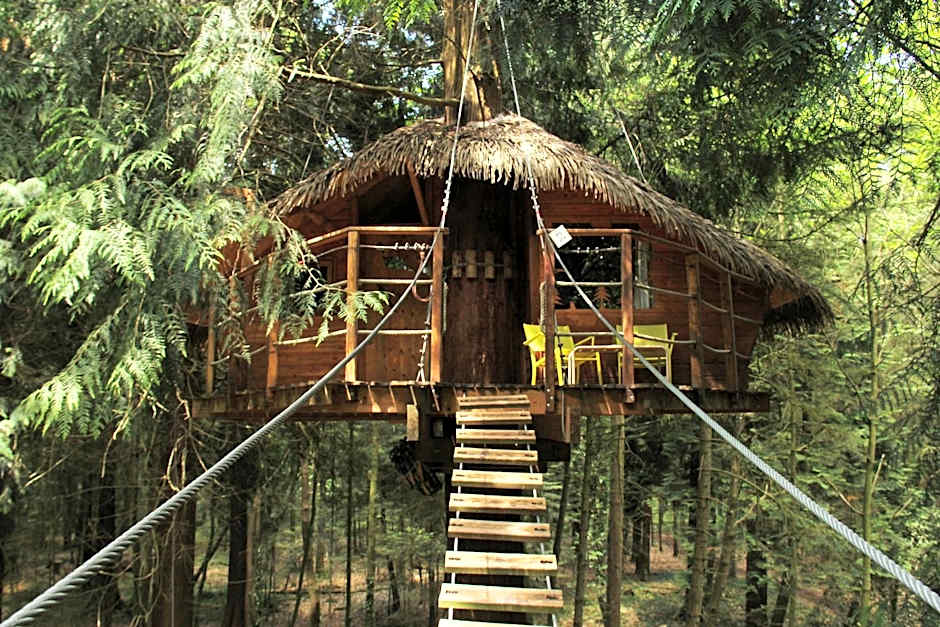 Insolites, Les Ormes, Epiniac