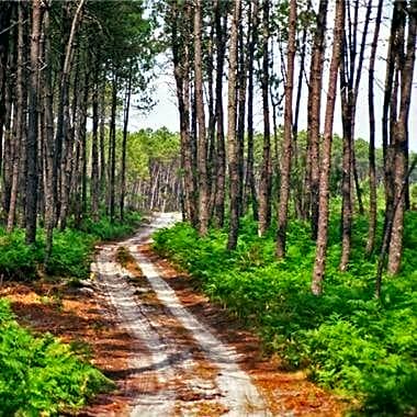 Au ' Bord des Landes '