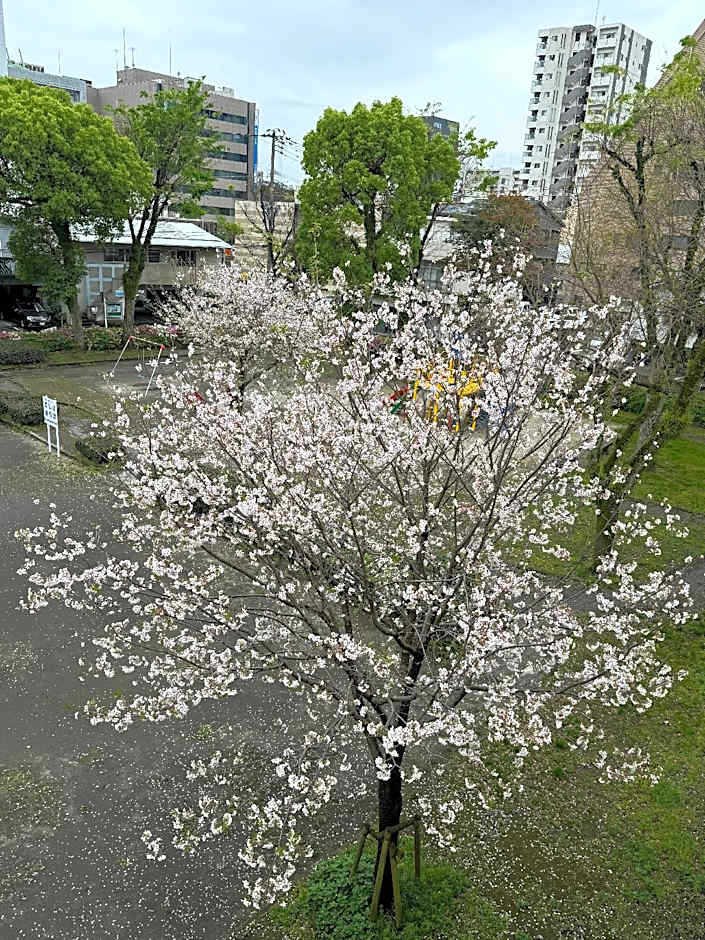 Hotel Ninestates Kagoshima