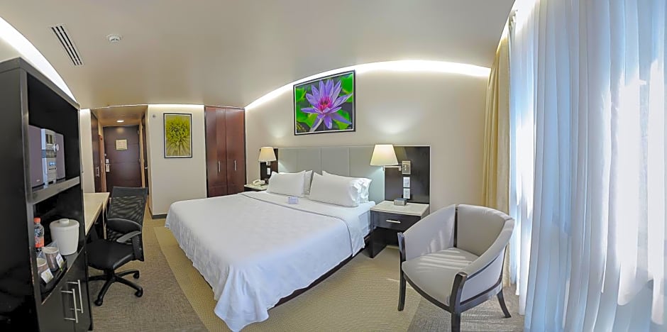 Holiday Inn Hotel & Suites Mexico Medica Sur By IHG
