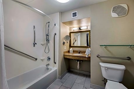 Accessible - Suite 2 Queen Mobility Accessible Walk In Shower Sofabed For One Person Microwave And R