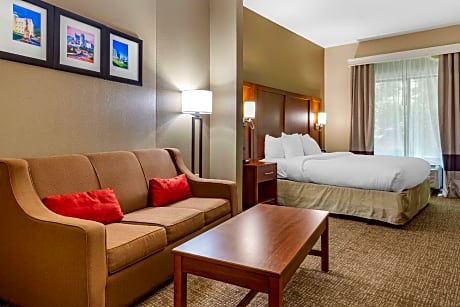 1 King Bed, Suite, Nonsmoking