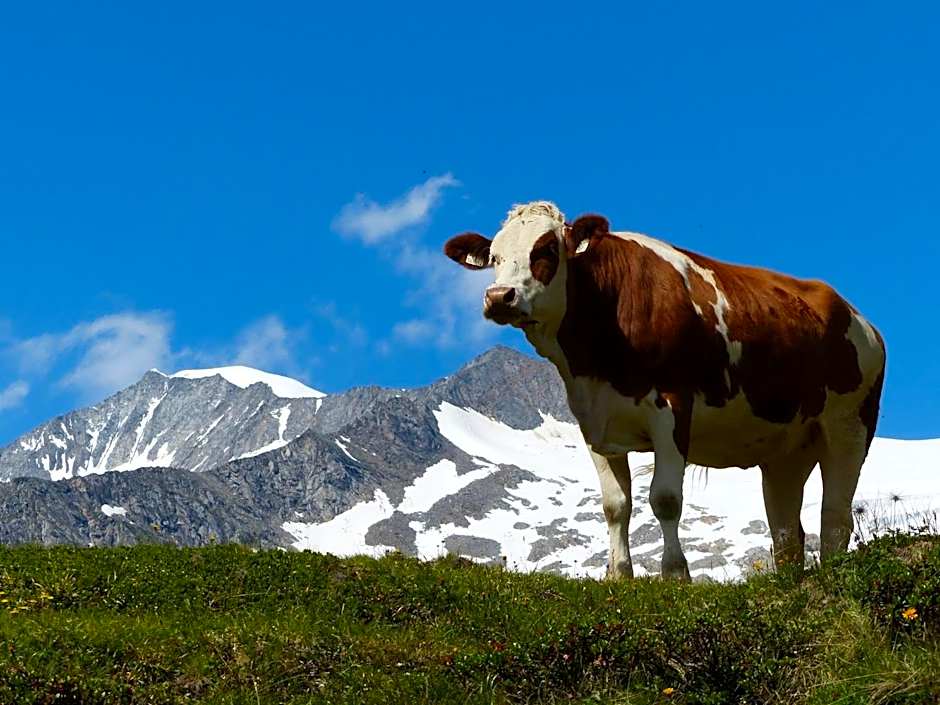 Hotel Gasthof Islitzer