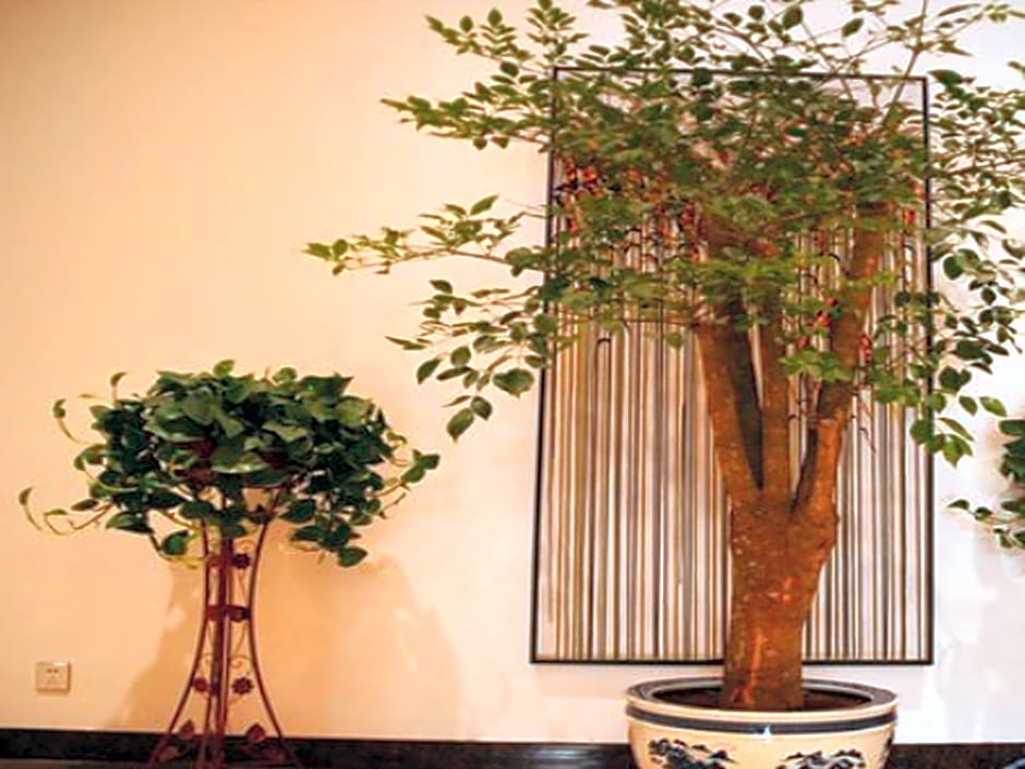 GreenTree Inn ChangZhi Bus Passenger Station XiHuan Road Business Hotel