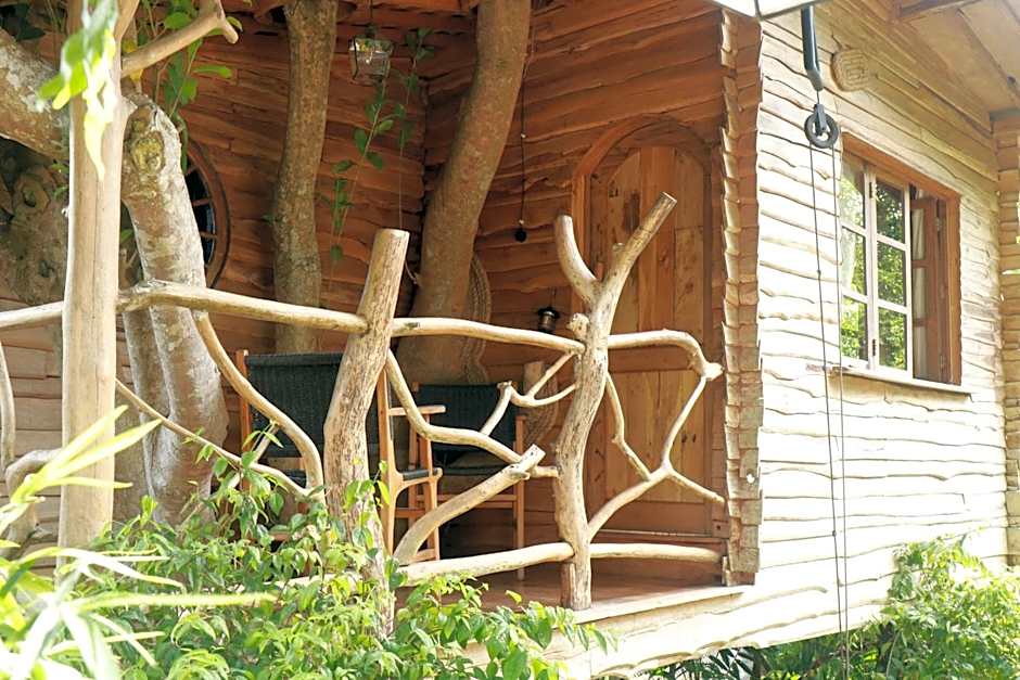 Roots Tree House