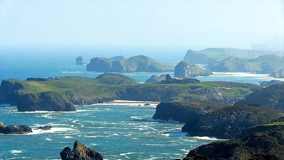 CAEaCLAVELES