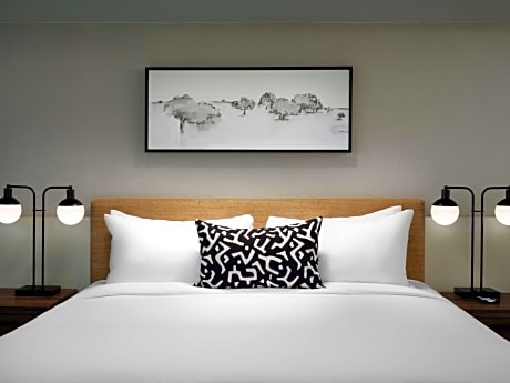 Junior King Suite - Mobility Accessible Tub