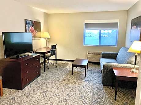 SUITE-1 QUEEN BED,NSMK,SEPBDR,MICRFG,KRGMKR,SOFBD,FULL BREAKFAST