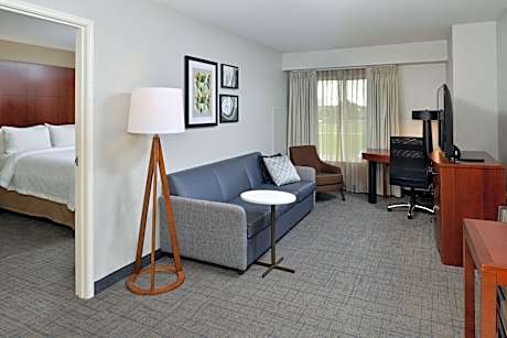 2 Bedroom Suite, Bedroom 1: 1 King, Bedroom 2: 1 Queen, Sofa bed