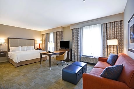 1 Kg Mobility/hearing Access Ri Shwr Studio Ns Vis Firealrm/door/phn Alrt/sofabed Microwv/fridge/wet