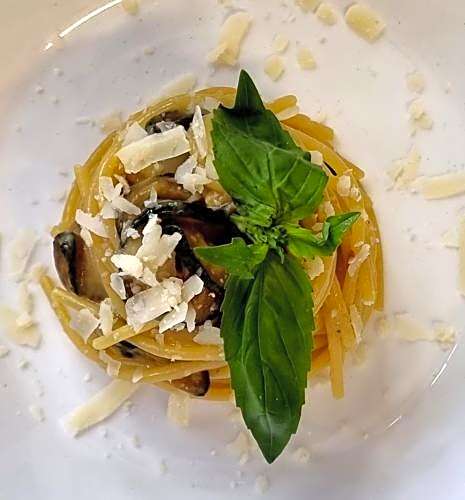 The Mad Hatter's Guestrooms