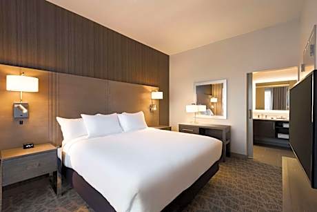 1 King Bed-2 Room Suite With Balcony-Lake Vw