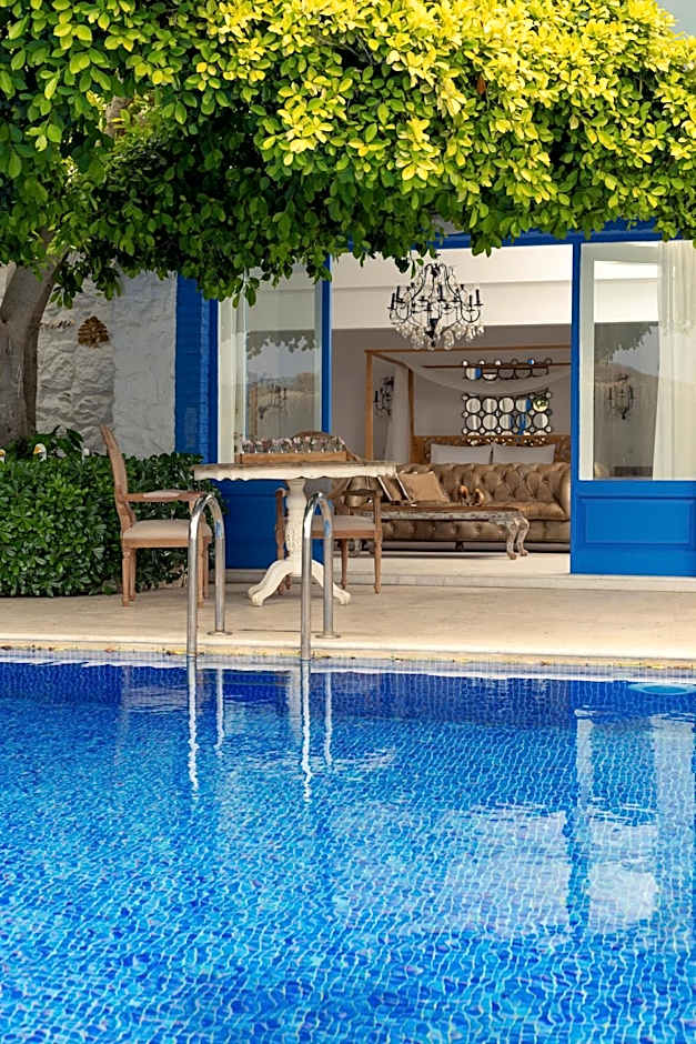 Sabrinas Haus - Adult Only +14