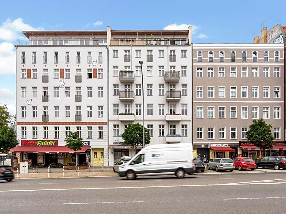 Numa Berlin Kater