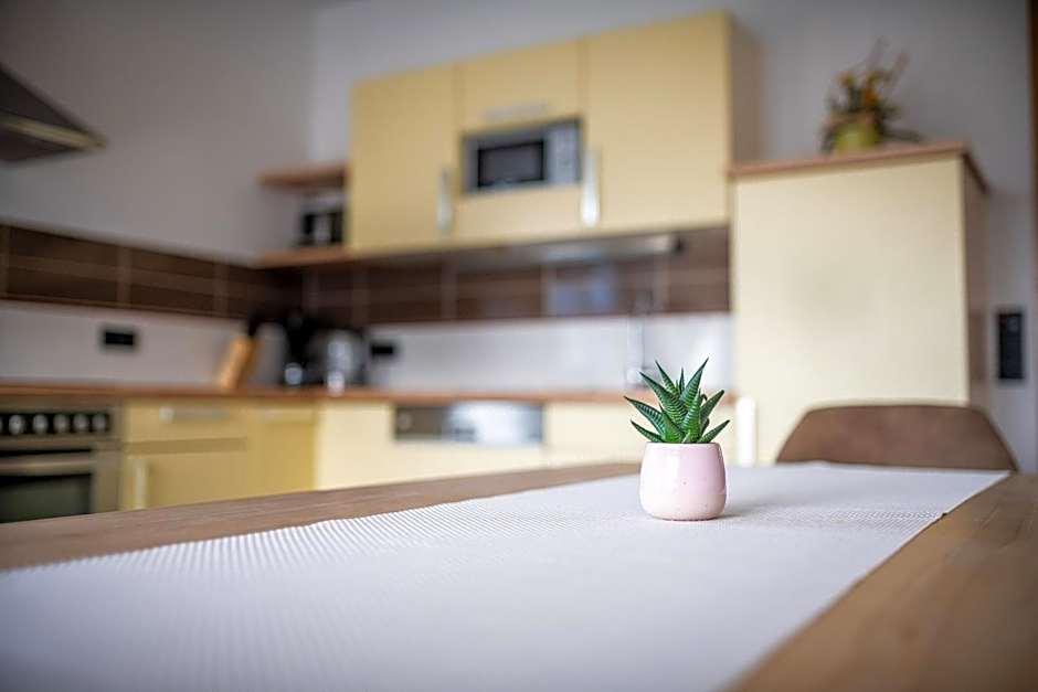 Elinas Mountain Views