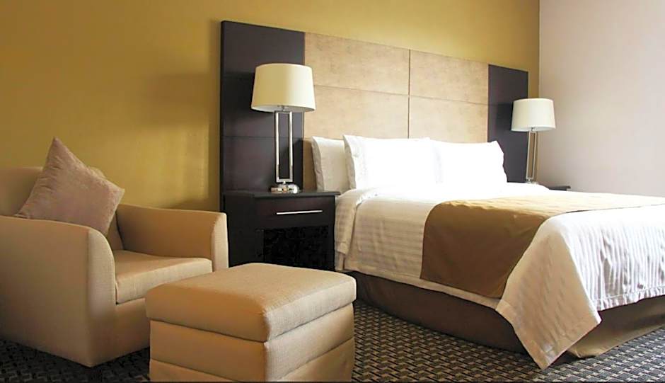 Holiday Inn Mexico Santa Fe By IHG