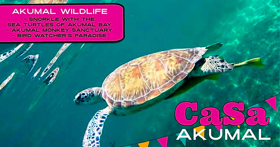 CaSa AKUMAL