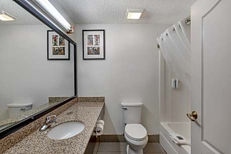 1 King Bed, Suite, Nonsmoking
