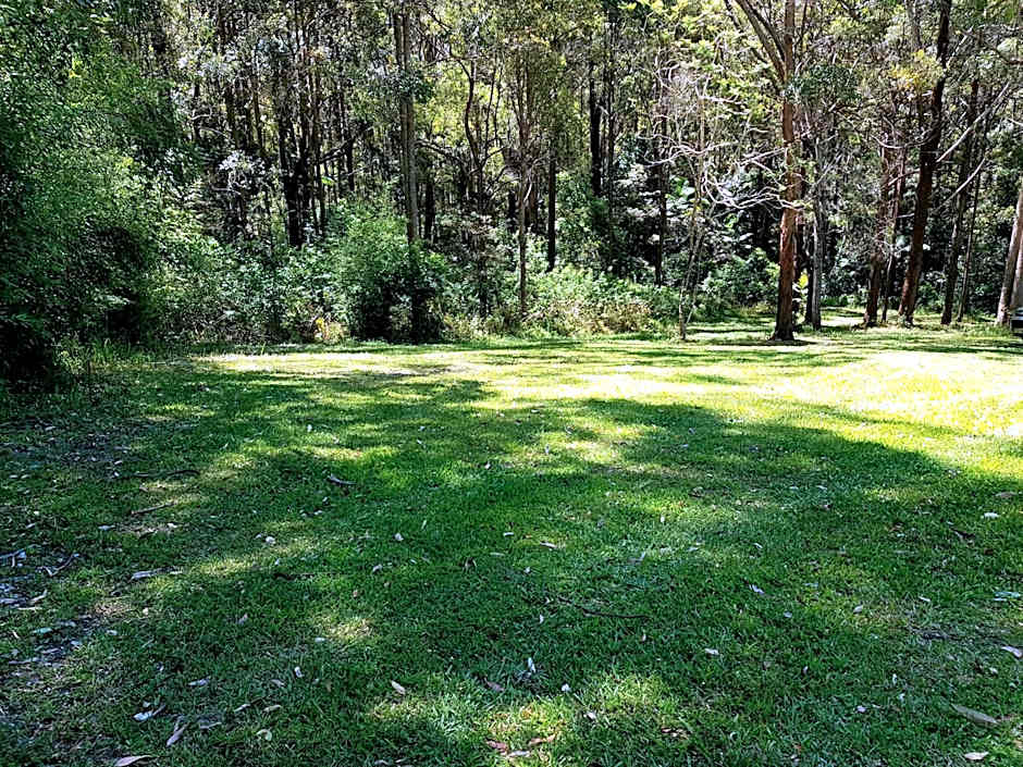 Forest view bungalow