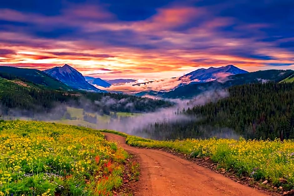 Wyndham Garden Zomin